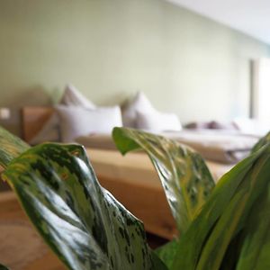 Deluxe Double Kamer